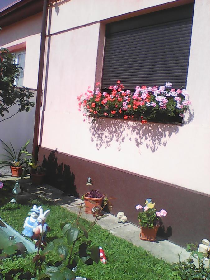 Mary Apartment Sibiu Eksteriør billede